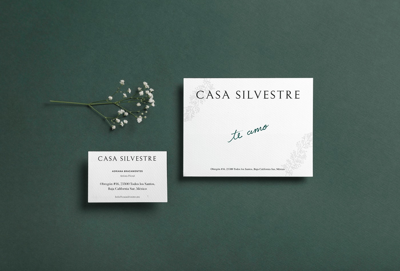 Casa Silvestre浪漫花店品牌logo設計與VI視覺設計，酒店VI設計，品牌視覺設計，企業VI設計，深圳VI設計，左右格局