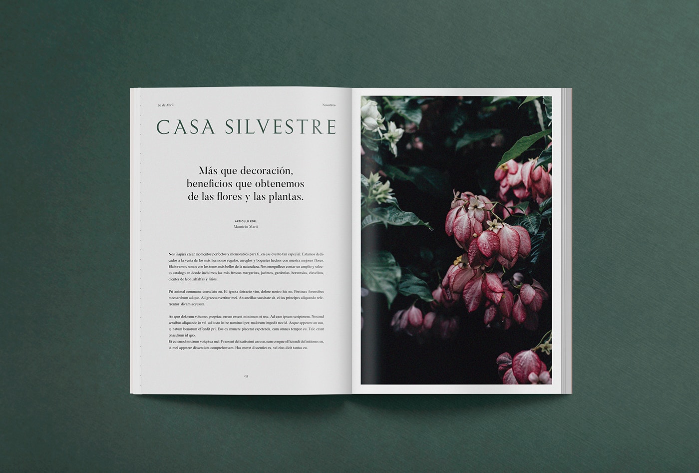 Casa Silvestre浪漫花店品牌logo設計與VI視覺設計，酒店VI設計，品牌視覺設計，企業VI設計，深圳VI設計，左右格局