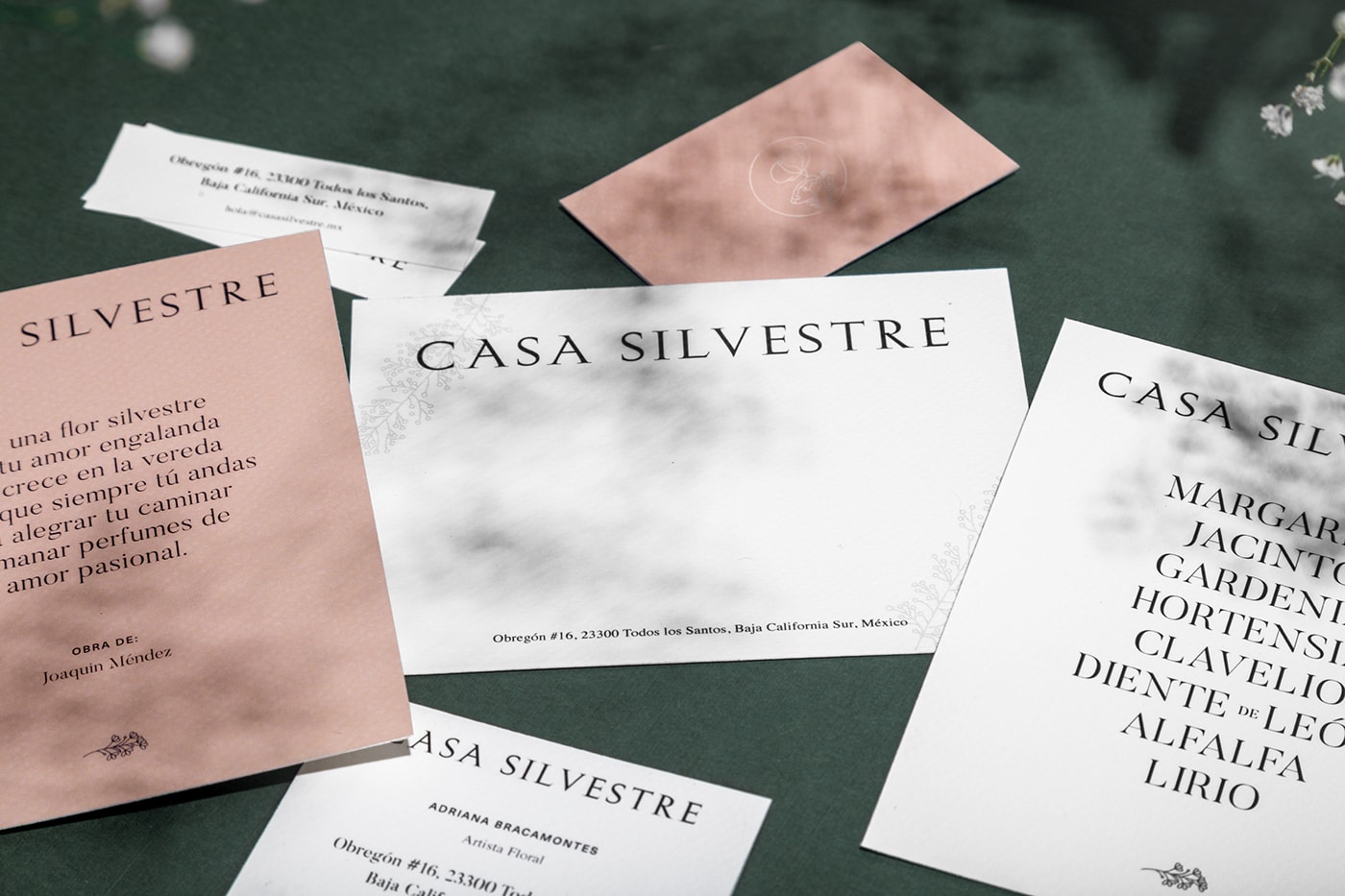 Casa Silvestre浪漫花店品牌logo設計與VI視覺設計，酒店VI設計，品牌視覺設計，企業VI設計，深圳VI設計，左右格局